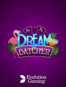 Dream Catcher