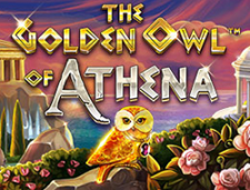 The Golden Owl Of Athena