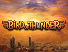Bird of Thunder