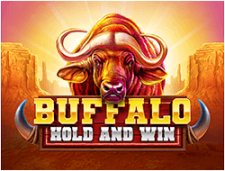 Buffalo Hold and Win