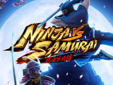 Ninja Vs Samurai