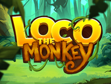 Loco The Monkey