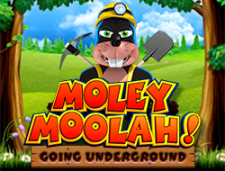 Moley Moolah