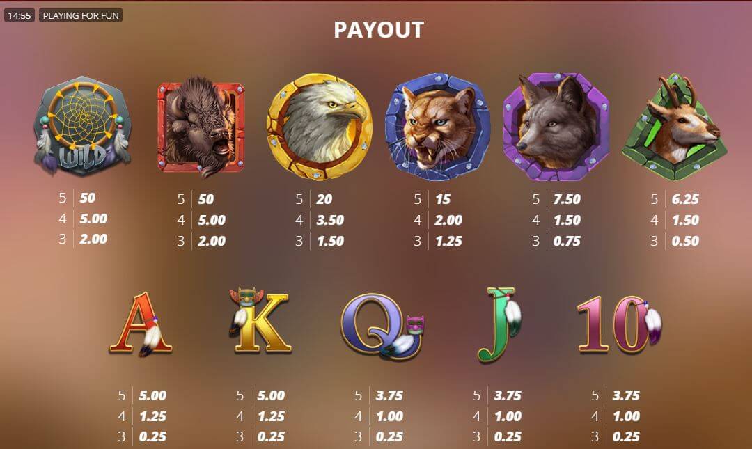 Buffalo Hunter Slot Symbols